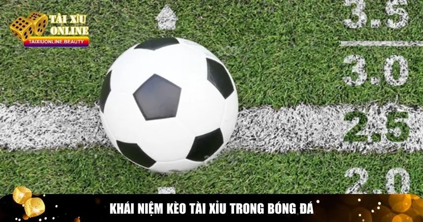 Kèo Tài Xỉu bóng đá là một trong những loại cược phổ biến
