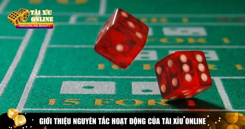 Trang web có nguyên tắc hoạt động rõ ràng